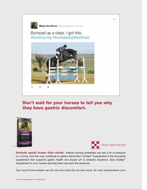 Don't wait for your horse