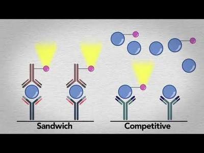 Quidel MicroVue Complement Multiplex Video