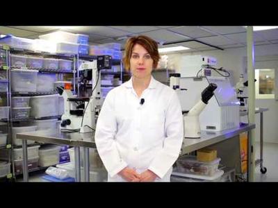 Pioneers in Regenerative Medicine - U.S. Stem Cell, Inc USRM