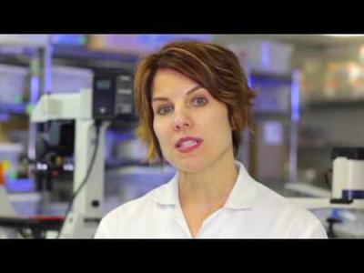 Tissue Banking at U.S. Stem Cell, Inc USRM