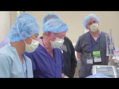 Our Divisions - U.S. Stem Cell, Inc USRM