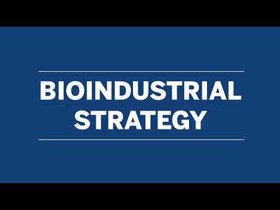 bioMérieux - Our bioindustrial strategy