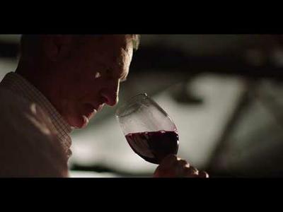 AGL and Yalumba: Australia's largest winery solar installation