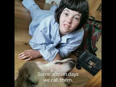 Woodie's Heroes - Autism Assistance Dogs Ireland