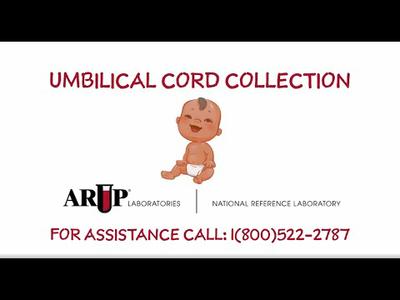 Umbilical Cord Collection