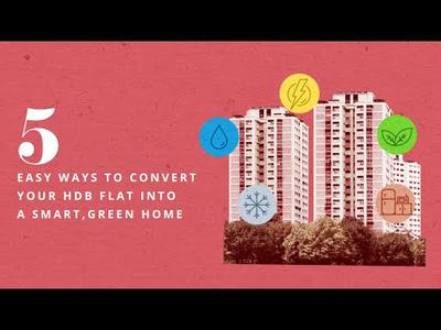 A home makeover for World Environment Day
