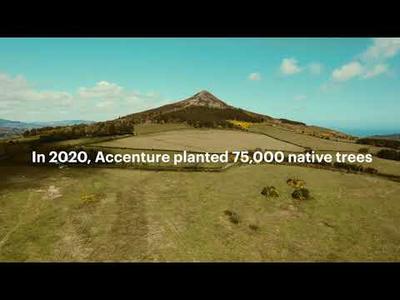 A Trip to The Accenture Forest