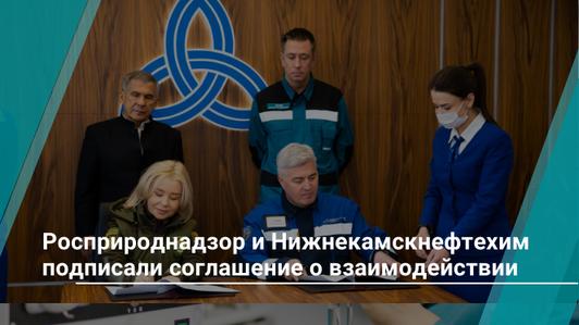 Нижнекамскнефтехим