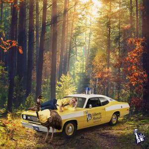 Liberty Mutual