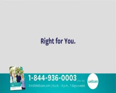 WellCare - All-In-One Guide