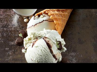 Chef's Lin Fudge Double Mint Ice Cream