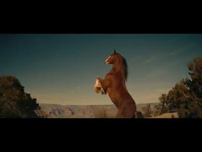 Budweiser | The Shared Spirit