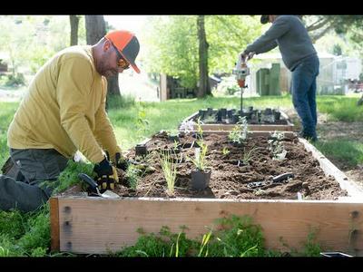 Planting for Pollinators in Hells Canyon