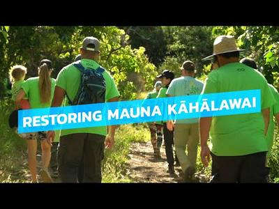 Restoring Mauna Kahalawai in 2023