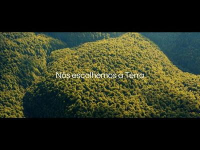 A EDP no Brasil