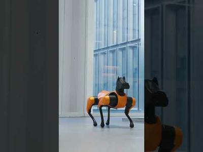 Canine Tech Meets Fashion | CyberDog 2