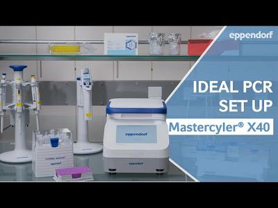 The Ideal PCR Set Up | Properly Prepared with Eppendorf Mastercycler® X40