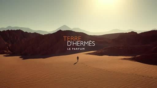 Hermés Paris Terre D'Hermés Parfum Herren
