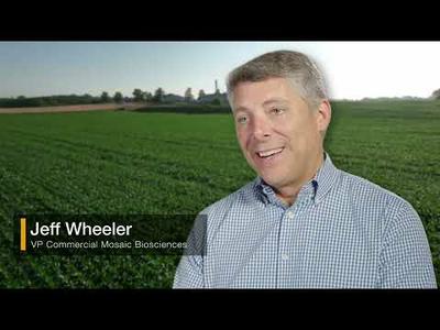 Rise to the Challenge: Sustainable Land Usage