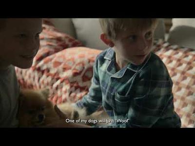 Meet Teddy, one of the stars of this year's Christmas advert