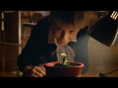 Snapper: The Perfect Tree | John Lewis & Partners | Christmas Ad 2023 | Audio Described