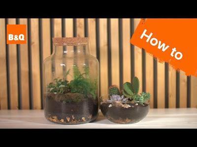 How to create and maintain a terrarium | DIY