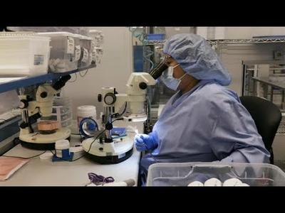 Medline expands ReNewal™ medical device reprocessing facility