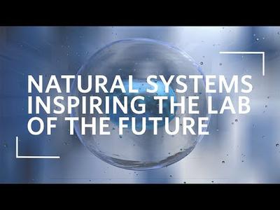 Future Labs: How Natural Systems Inspire the Lab of the Future