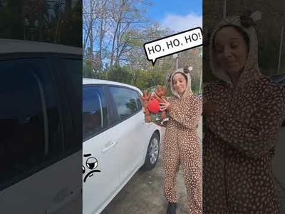 Κέρατα & Μύτη με Πολύχρωμα LED Για Στολισμό Αυτοκινήτου