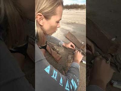 Beach campfire tutorial! #saltlife #beachcampfire