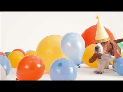 Hush Puppies- 65th Birthday