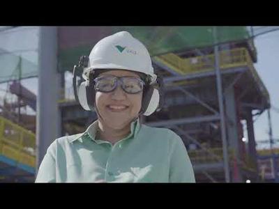 Iron Ore Briquettes: Learn more about this innovation