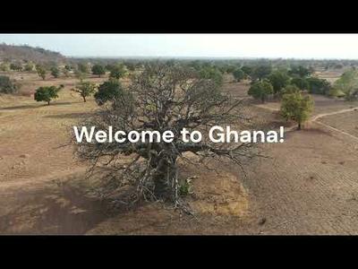 Discover "Sustainabeauty" from Great Green Wall | Evonik
