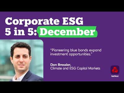 Corporate ESG 5 in 5 December