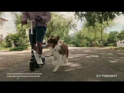 Cytopoint Up to 8 Weeks of Relief